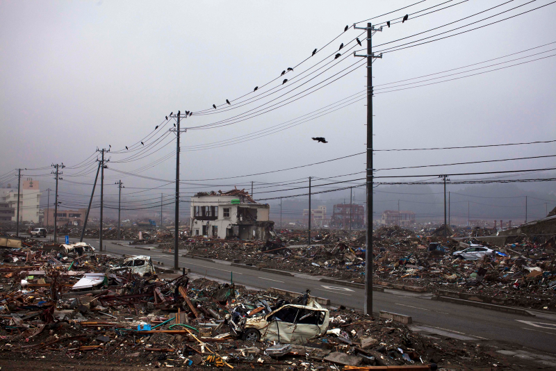 Illustration for article titled The cars of the Fukushima Nuclear Exclusion Zone